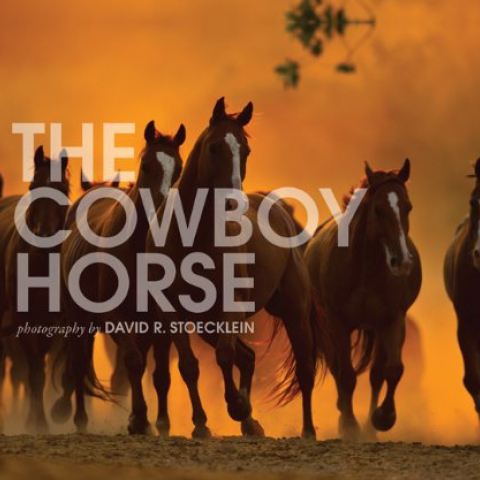 The Cowboy Horse